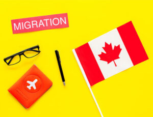 Canadian Experience Class Canada Punjabi Visa
