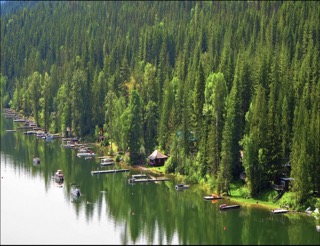 North Okanagan Shuswap RCIP Program– 2025 Priority Sectors & NOC Code Guide