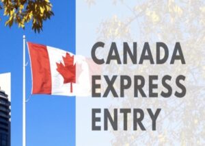 Canadian Experience Class Draw 390